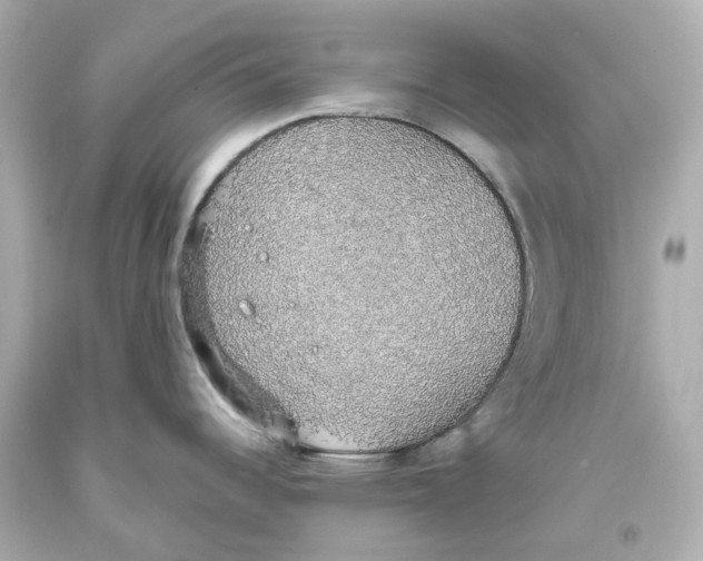 X0000093621344200711051232