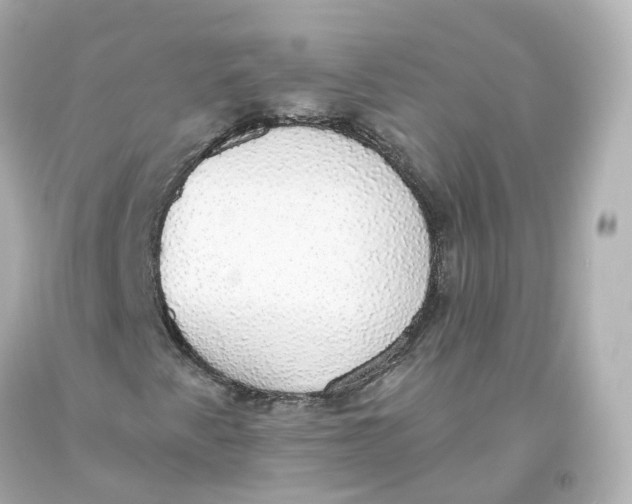 X0000093621345200711051231