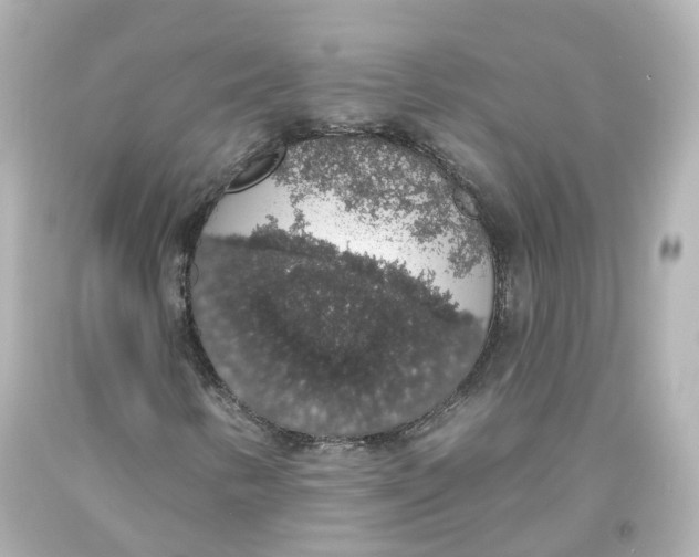 X0000093621346200711051231
