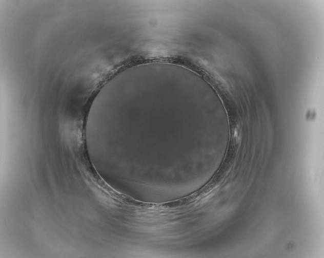 X0000093621348200711051231