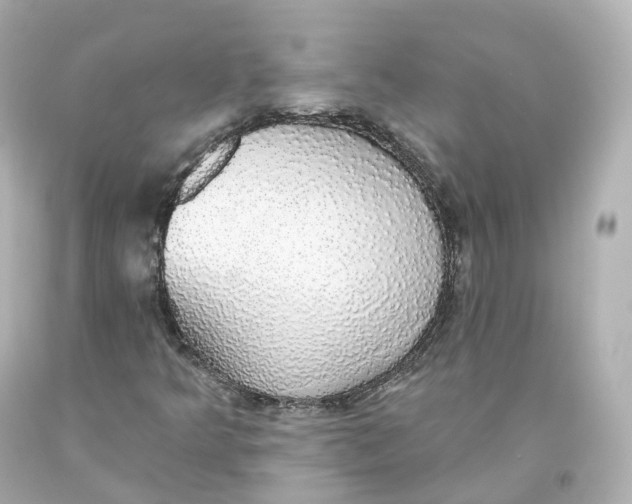 X0000093621349200711051231
