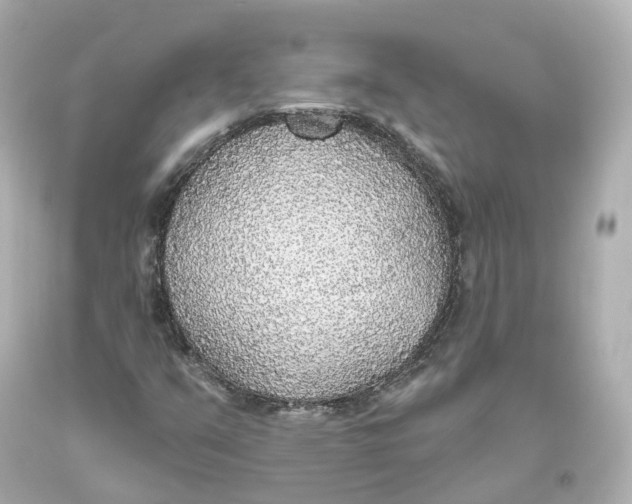 X0000093621351200711051231