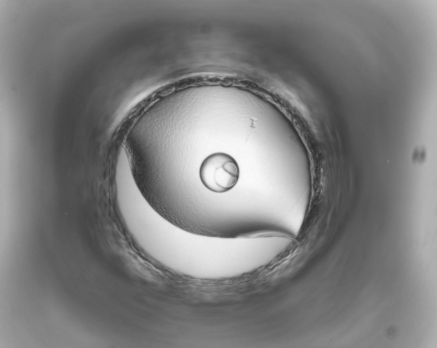X0000093621352200711051231