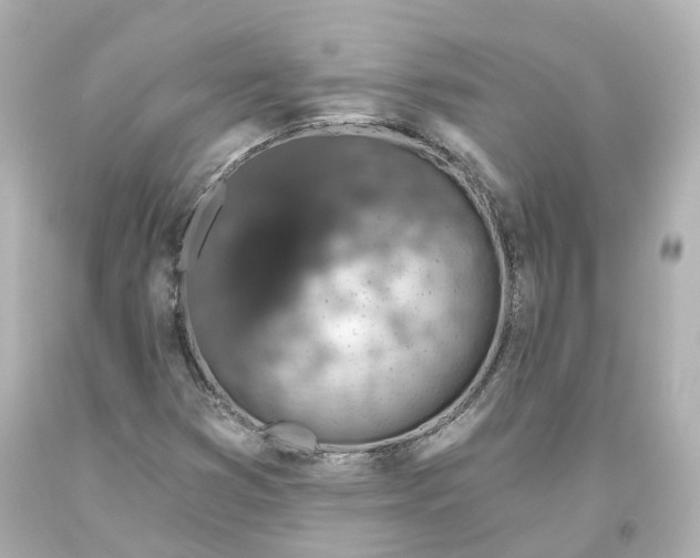 X0000093621353200711051231