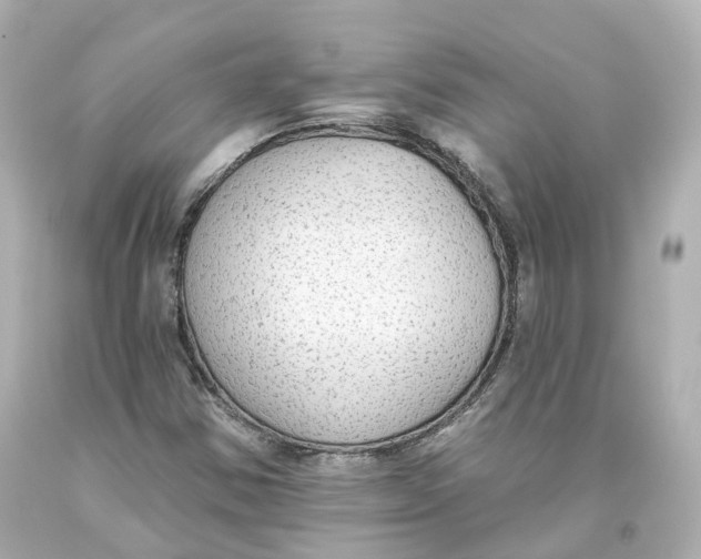 X0000093621354200711051231