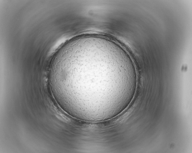 X0000093621355200711051231