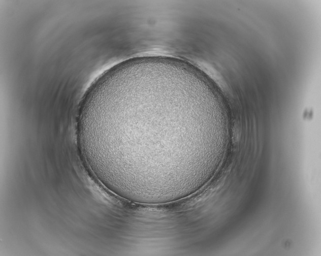 X0000093621356200711051231