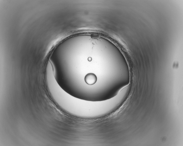 X0000093621357200711051231