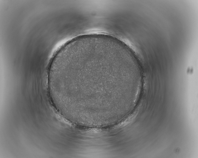 X0000093621358200711051231