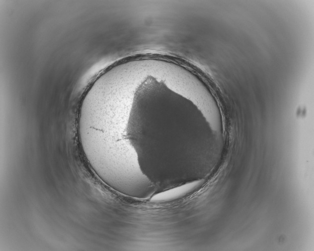 X0000093621359200711051231