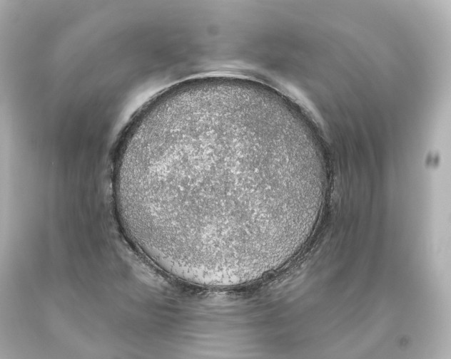 X0000093621360200711051231