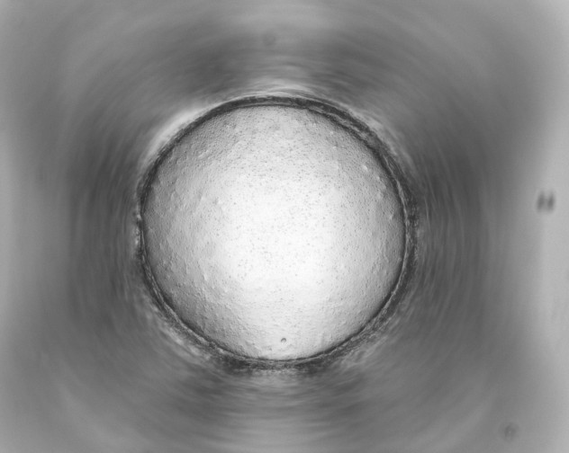 X0000093621363200711051231
