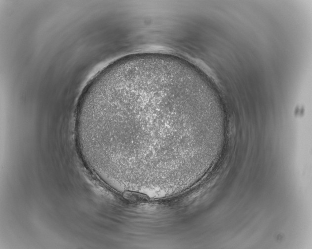 X0000093621364200711051231