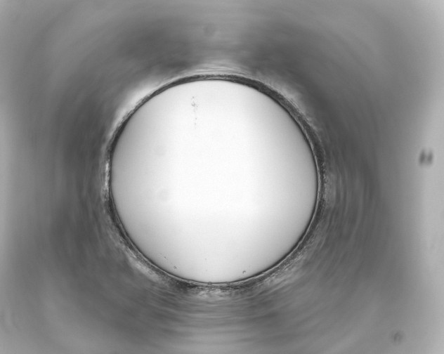 X0000093621366200711051231