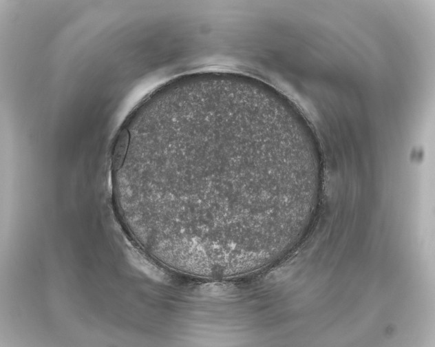 X0000093621368200711051231