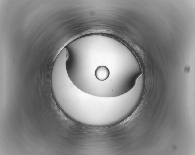 X0000093621369200711051231