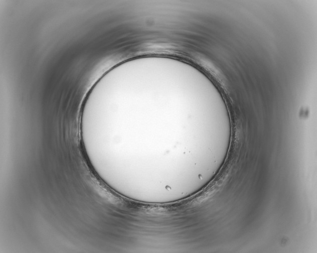 X0000093621370200711051231