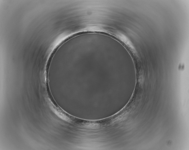 X0000093621372200711051231