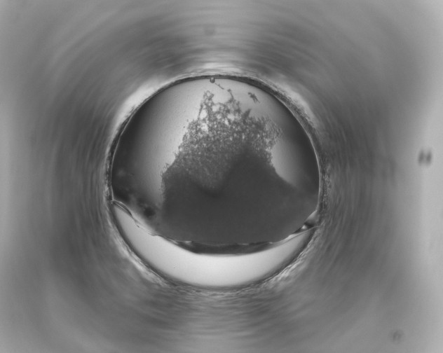 X0000093621373200711051231