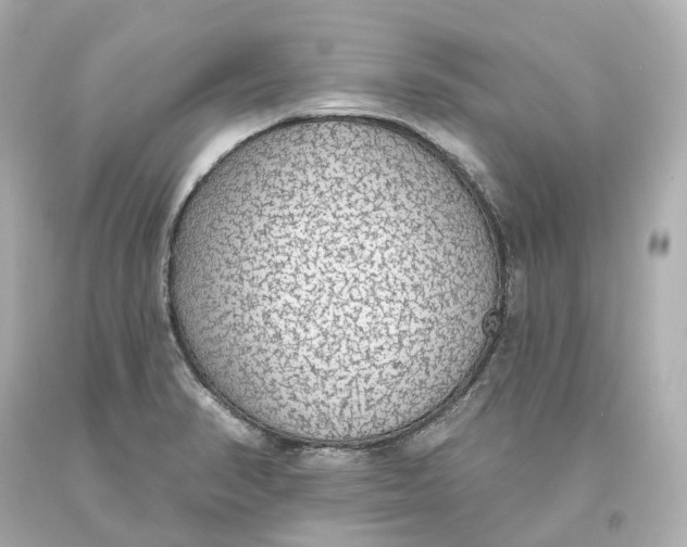 X0000093621374200711051231