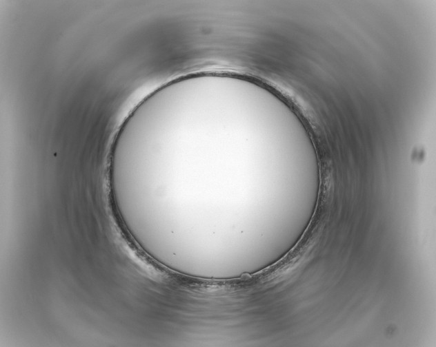 X0000093621375200711051231