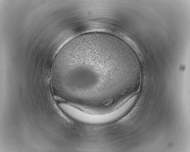 X0000093621377200711051231