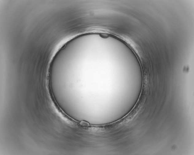 X0000093621379200711051231