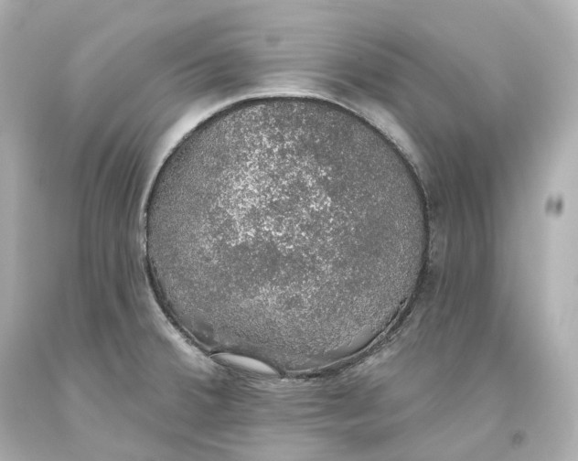 X0000093621380200711051231