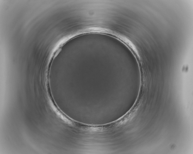 X0000093621381200711051231