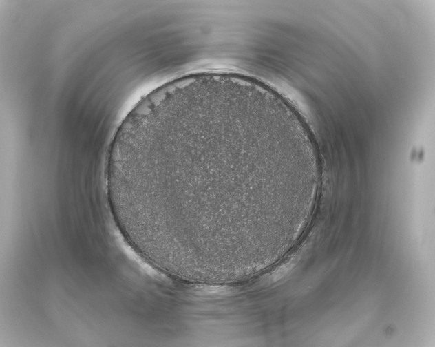 X0000093621382200711051231