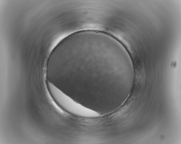 X0000093621383200711051231