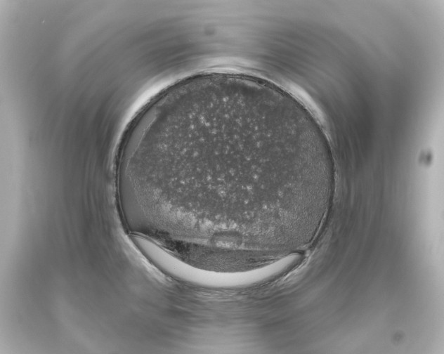 X0000093621384200711051231