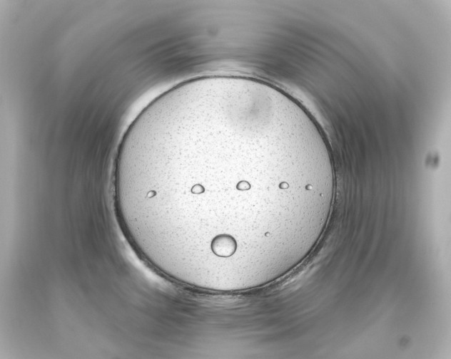 X0000093621387200711051230