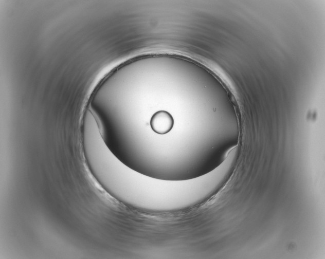 X0000093621388200711051230