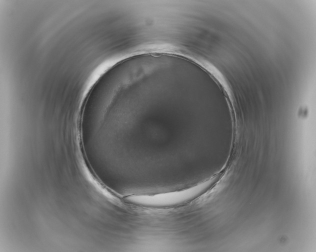 X0000093621389200711051230