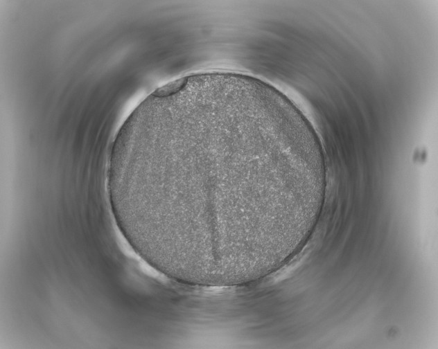 X0000093621390200711051230