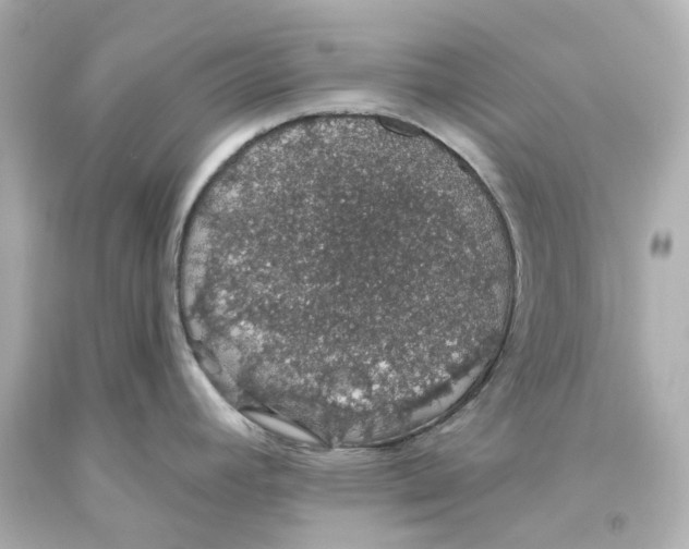 X0000093621392200711051230
