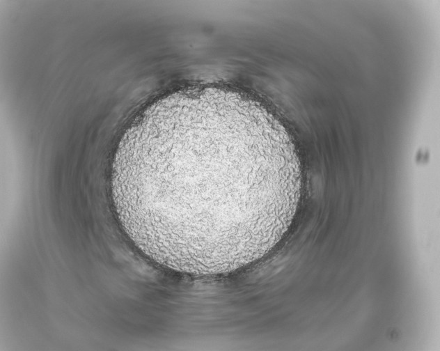 X0000093621393200711051230