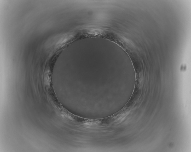 X0000093621394200711051230