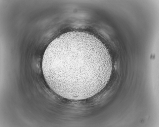 X0000093621396200711051230