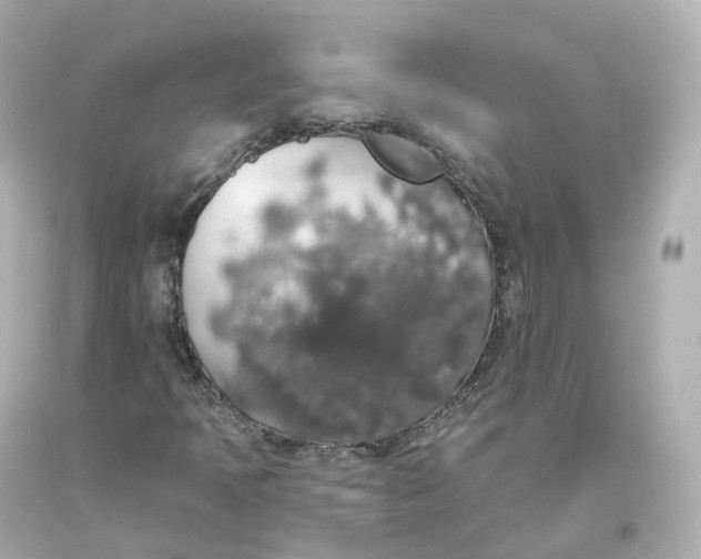 X0000093621397200711051230