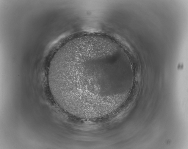 X0000093621398200711051230