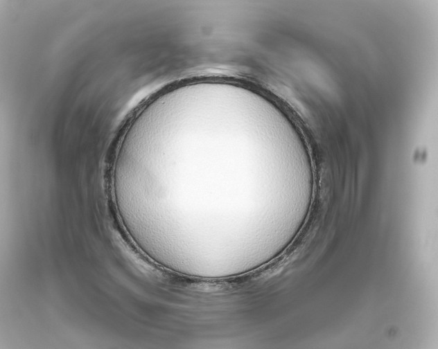 X0000093621404200711051230