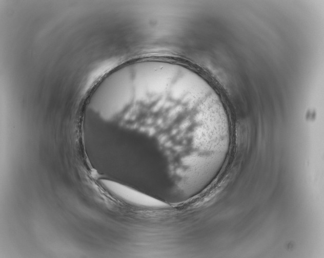 X0000093621405200711051230