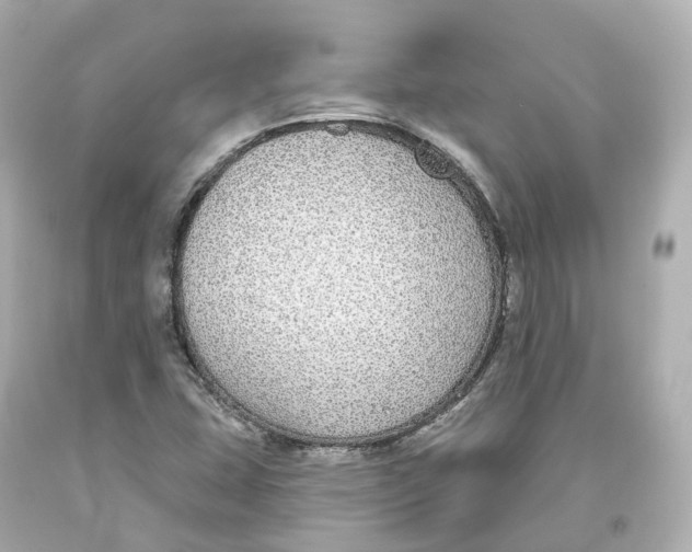 X0000093621407200711051230