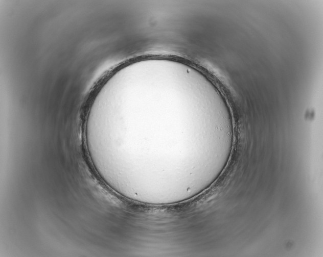 X0000093621408200711051230