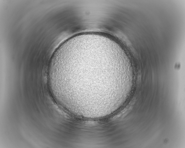 X0000093621409200711051230