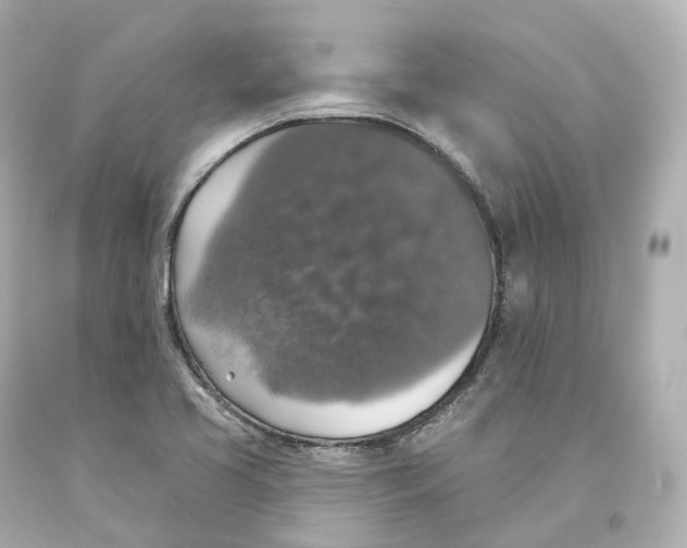 X0000093621413200711051230
