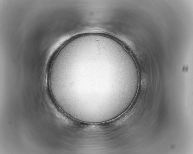 X0000093621414200711051230