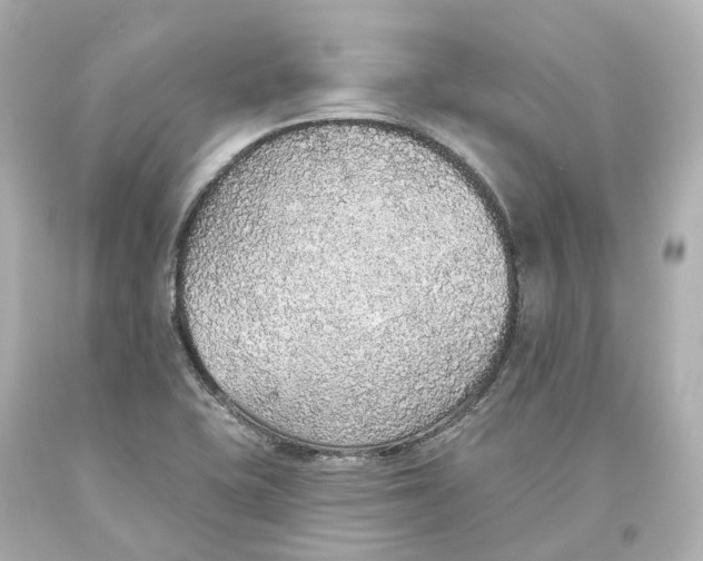 X0000093621415200711051230